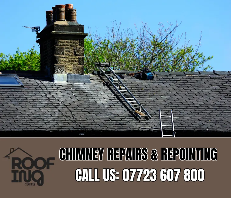 Chimney repair and repointing services in Tavistock
