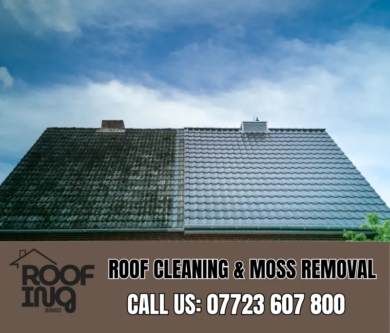 Roof cleaning and moss removal in Tavistock