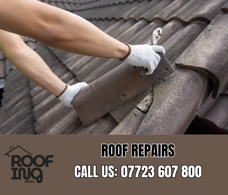 Professional roof repair services in Tavistock